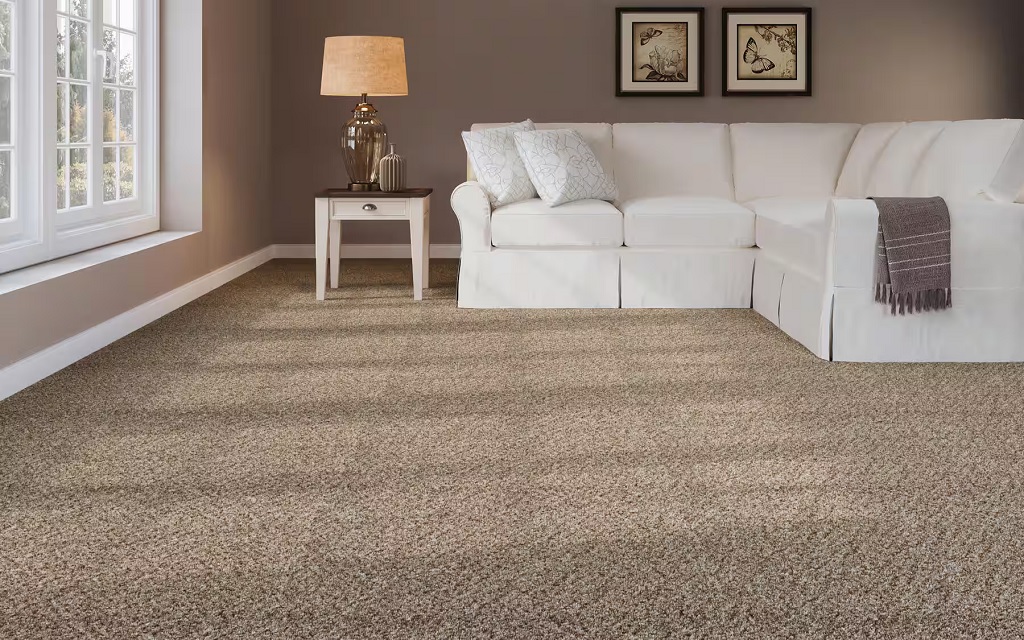 Deep Dive into Carpet Cleaning North Shore: The Secrets to Removing Tough Stains