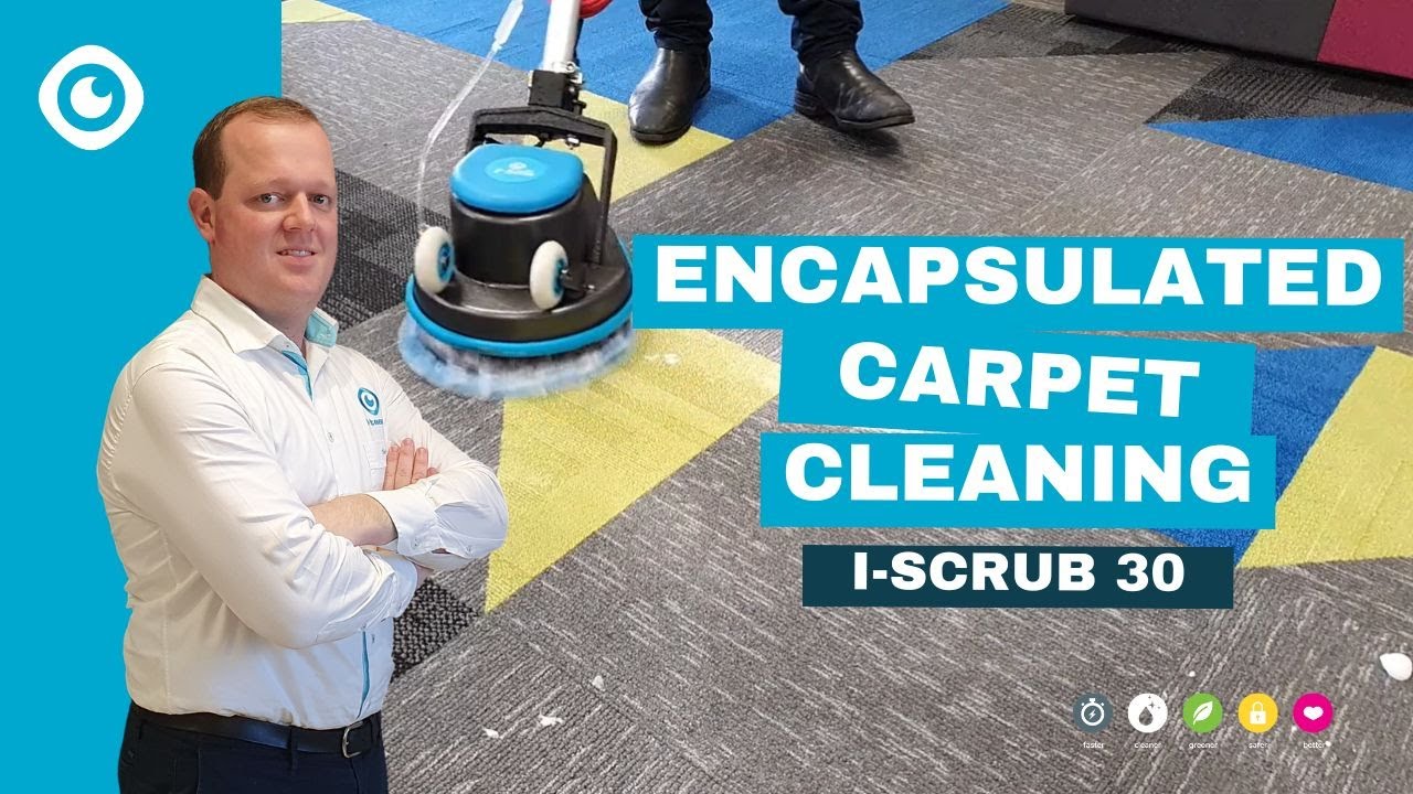 Navigating the Fuzzy World of Carpet Cleaning Myths: A North Shore Spin